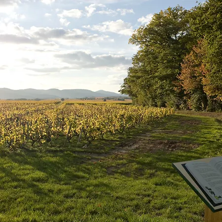Chateau De Pizay 4*